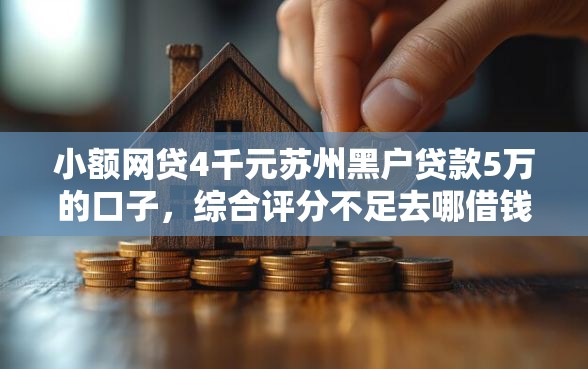小额网贷4千元苏州黑户贷款5万的口子，综合评分不足去哪借钱的7个平台介绍