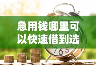 急用钱哪里可以快速借到选哪个平台？8个16岁能贷款的平台推荐