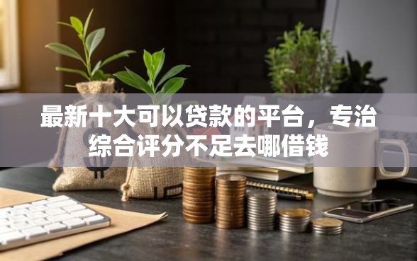 最新十大可以贷款的平台，专治综合评分不足去哪借钱