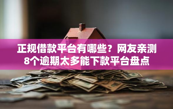 正规借款平台有哪些？网友亲测8个逾期太多能下款平台盘点