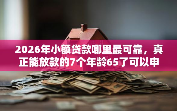 2026年小额贷款哪里最可靠，真正能放款的7个年龄65了可以申请的网贷平台推荐
