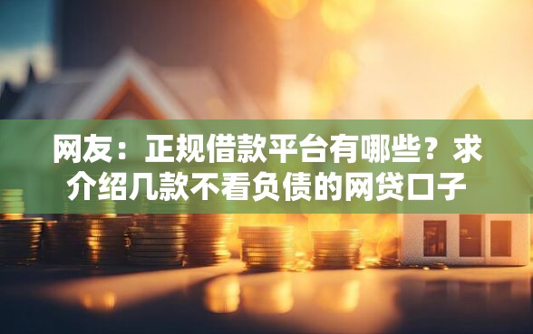 网友：正规借款平台有哪些？求介绍几款不看负债的网贷口子