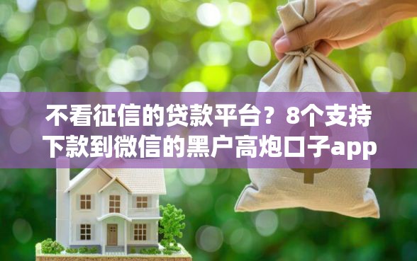 不看征信的贷款平台？8个支持下款到微信的黑户高炮口子app下载