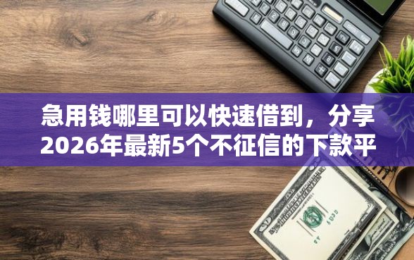 急用钱哪里可以快速借到，分享2026年最新5个不征信的下款平台看