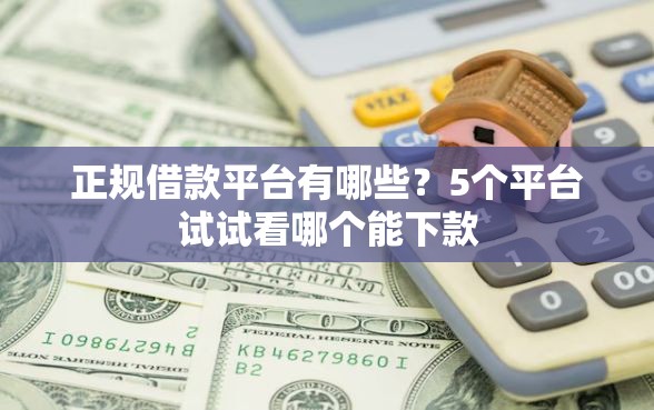 正规借款平台有哪些？5个平台试试看哪个能下款