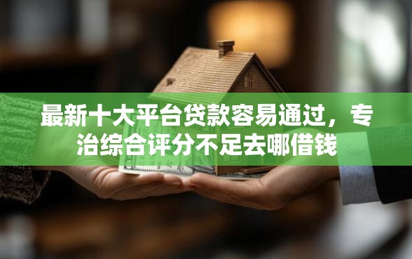 最新十大平台贷款容易通过，专治综合评分不足去哪借钱