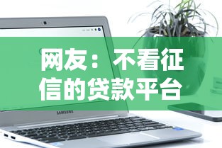 网友：不看征信的贷款平台？求介绍几款可以不看征信就能下款的软件