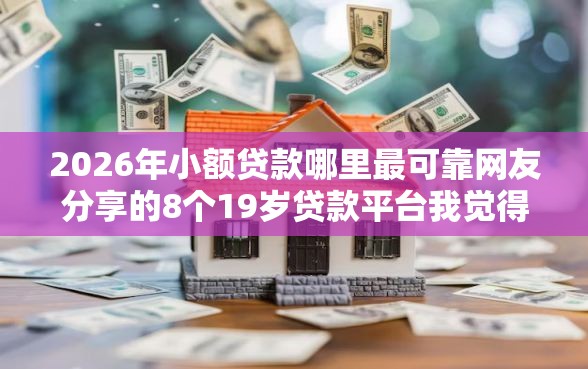2026年小额贷款哪里最可靠网友分享的8个19岁贷款平台我觉得不错！