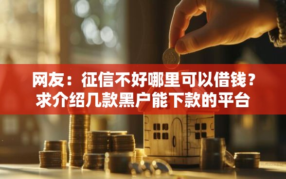 网友：征信不好哪里可以借钱？求介绍几款黑户能下款的平台