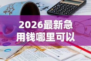 2026最新急用钱哪里可以快速借到，总结十个21岁不查征信的借款平台百分百通过！