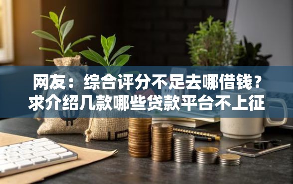 网友：综合评分不足去哪借钱？求介绍几款哪些贷款平台不上征信