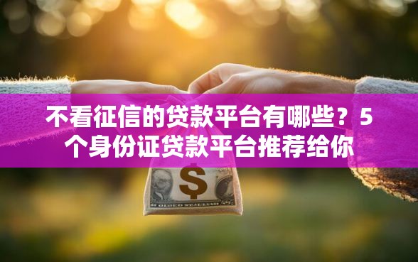 不看征信的贷款平台有哪些？5个身份证贷款平台推荐给你