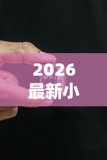 2026最新小额贷款哪里最可靠（支持微信），7个征信黑了的人贷款的平台无私分享