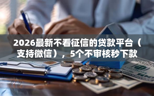 2026最新不看征信的贷款平台（支持微信），5个不审核秒下款的高炮口子无私分享