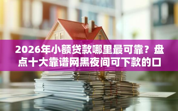2026年小额贷款哪里最可靠？盘点十大靠谱网黑夜间可下款的口子