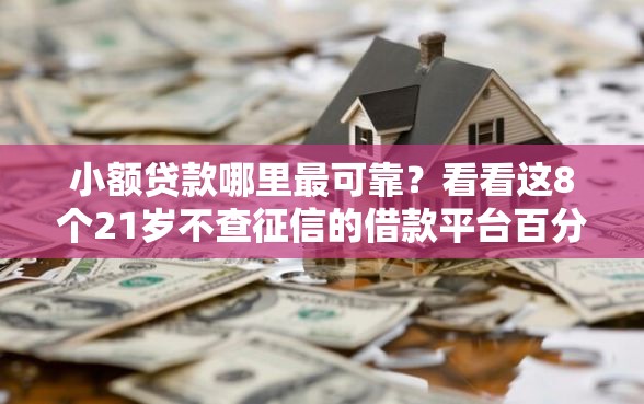 小额贷款哪里最可靠？看看这8个21岁不查征信的借款平台百分百通过怎么样