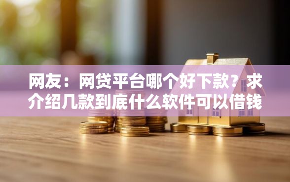 网友：网贷平台哪个好下款？求介绍几款到底什么软件可以借钱黑户