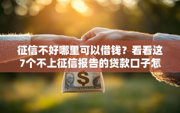 征信不好哪里可以借钱?看看这7个不上征信报告的贷款口子怎么样 征信不好哪里可以借钱?看看这7个不上征信报告的贷款口子怎么样